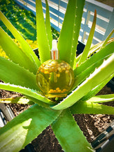 Load image into Gallery viewer, Skin Nourishing Body Oil